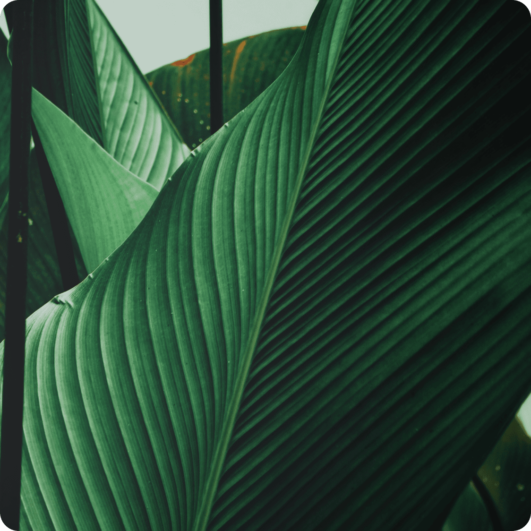 thumb1 finance available